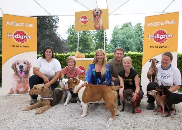 Kd krim pedigree - foto povečava