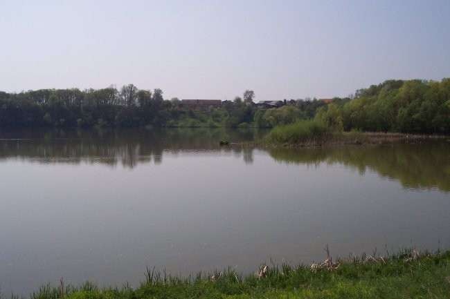 Pogled na JZ del Gajševskega jezera