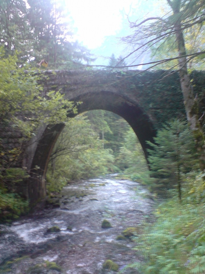 Kamniška bistrica  - foto povečava