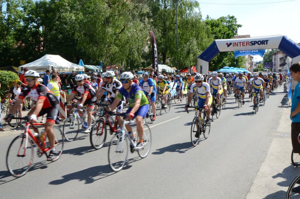 10. maraton DANA 2014 - 1 - foto povečava