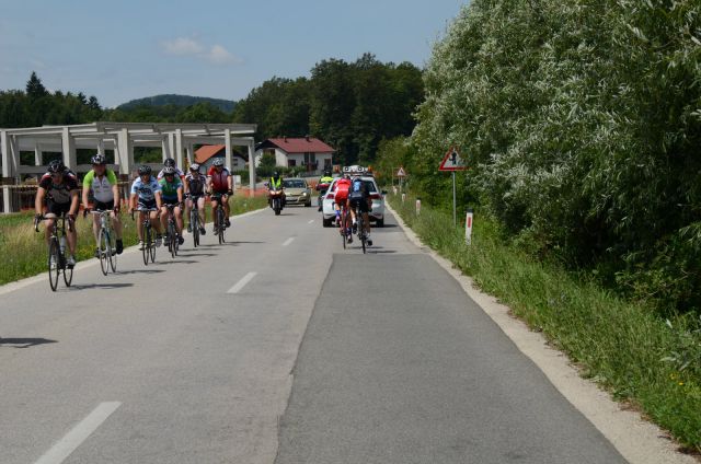 10. maraton DANA 2014 - 2 - foto