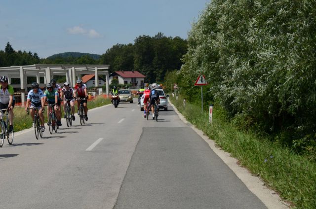 10. maraton DANA 2014 - 2 - foto