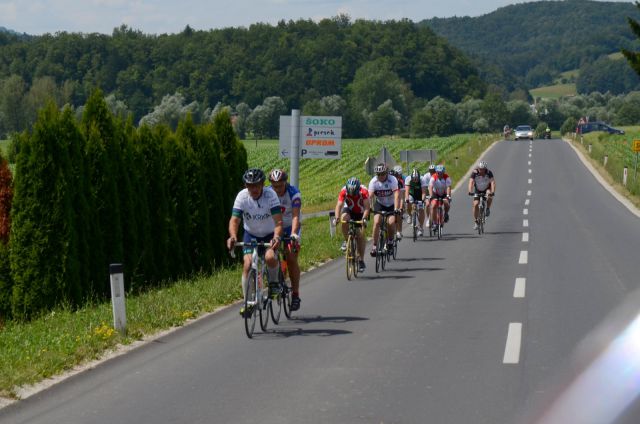 10. maraton DANA 2014 - 2 - foto