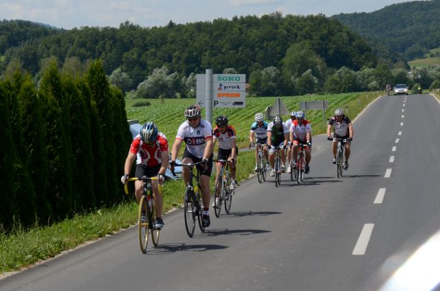 10. maraton DANA 2014 - 2 - foto