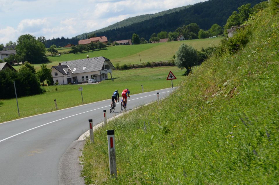 10. maraton DANA 2014 - 2 - foto povečava