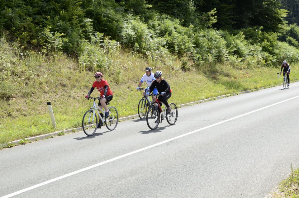 11. maraton Dana 2015 - 2 - foto povečava