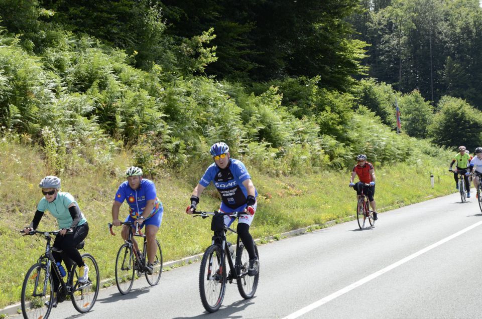 11. maraton Dana 2015 - 2 - foto povečava