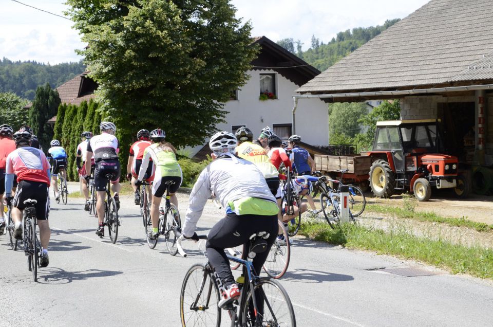 11. maraton Dana 2015 - 2 - foto povečava