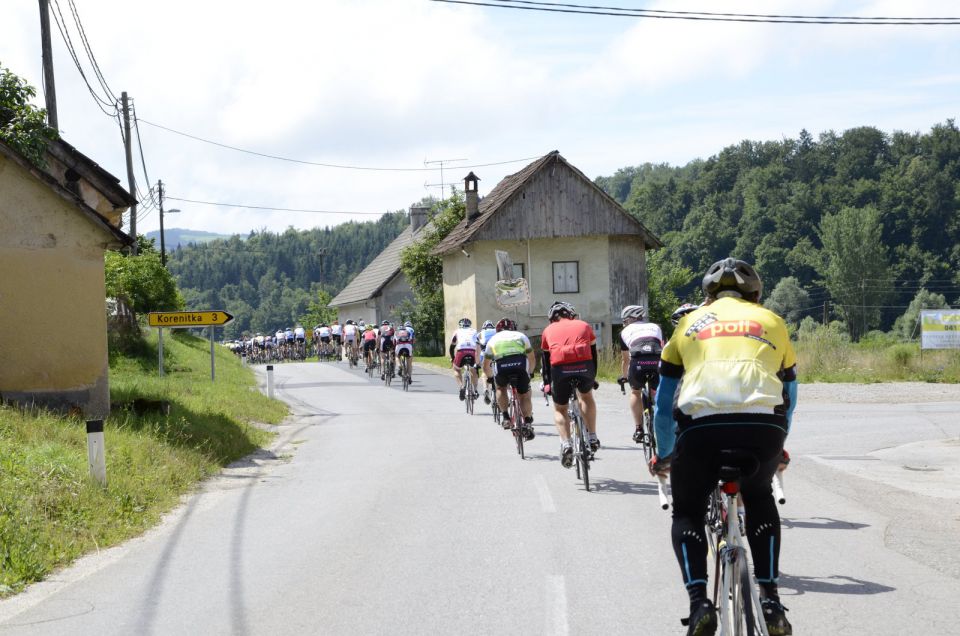 11. maraton Dana 2015 - 2 - foto povečava