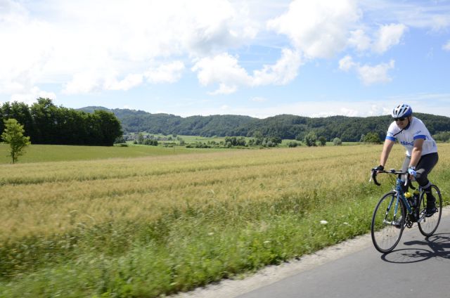 11. maraton Dana 2015 - 2 - foto