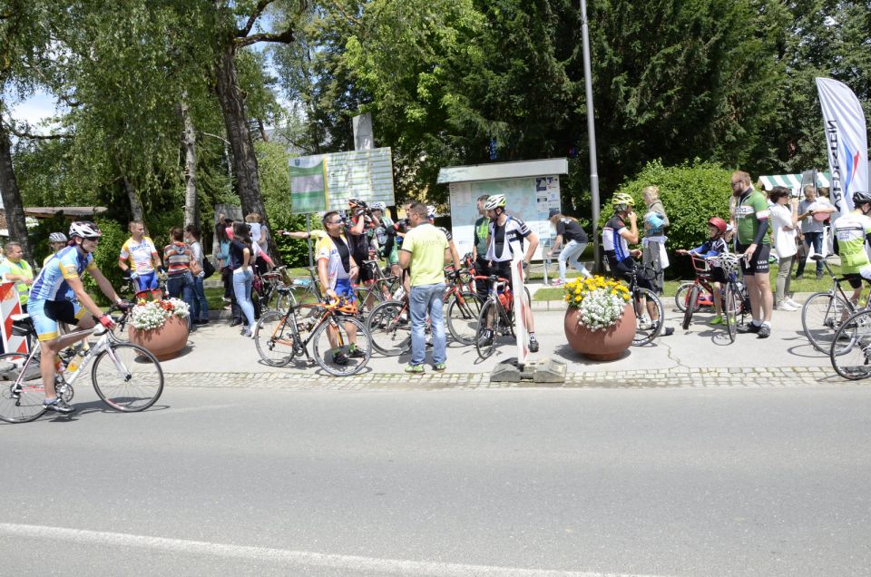 11. maraton Dana 2015 - 3 - foto povečava