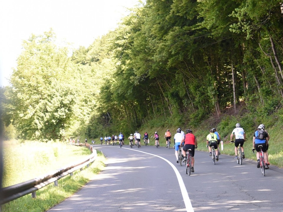 13. maraton Dana 2017-1 - foto povečava