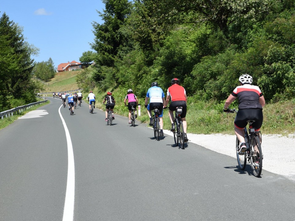 13. maraton Dana 2017-1 - foto povečava