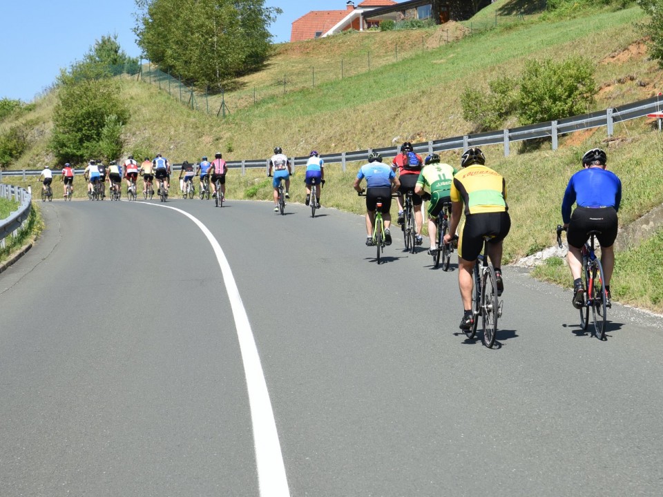 13. maraton Dana 2017-1 - foto povečava