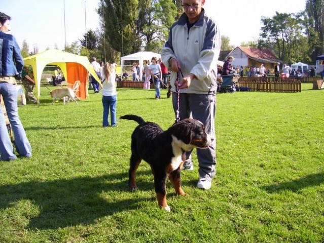 Izlozba-Vinkovci - foto