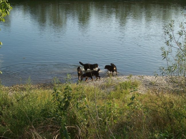 PiSiZ - foto povečava