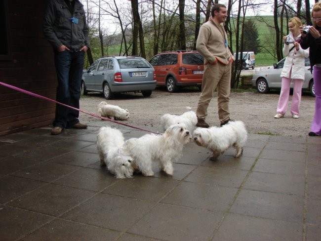 4. Maltežanijada, 13.04.2008 - foto povečava