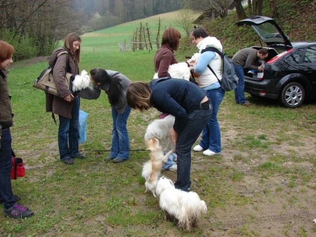 4. Maltežanijada, 13.04.2008 - foto povečava