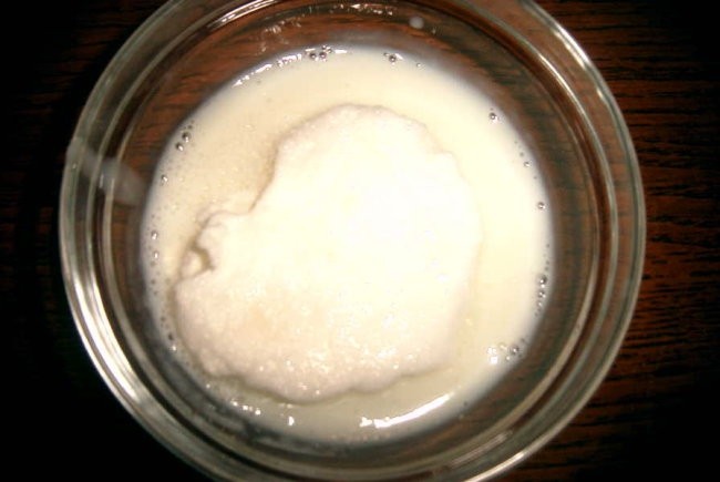 snežna kepa v lahki vanilijevi kremi
