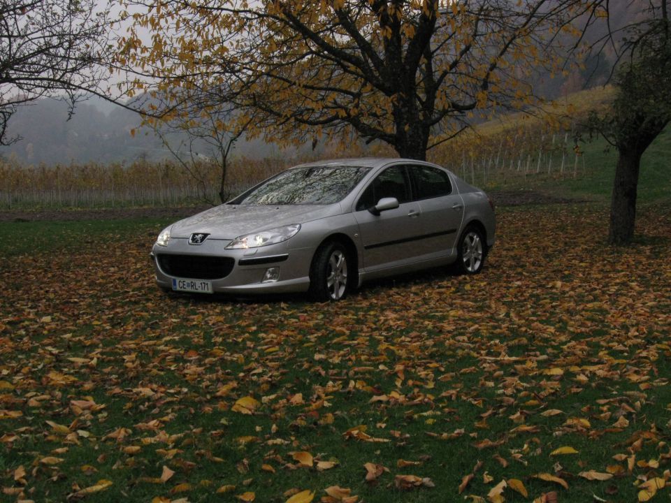 Peugeot 407 Hdi - foto povečava