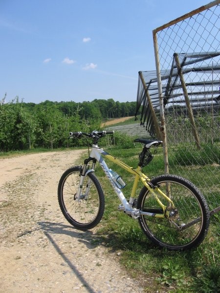 Moja bejbika - foto povečava