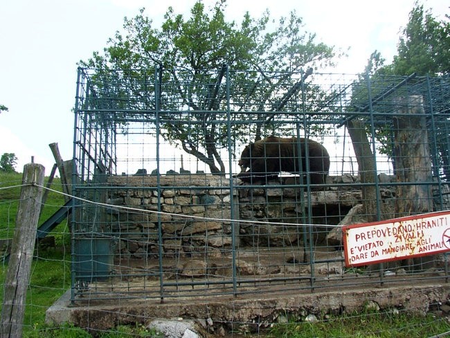 Kmetija Abram na primorskem, Podnanos - foto povečava