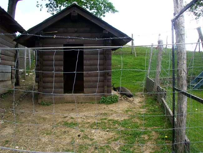 Kmetija Abram na primorskem, Podnanos - foto povečava