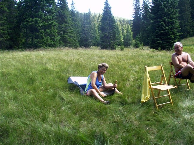 Piknik na Pohorju julij 2003 - foto povečava
