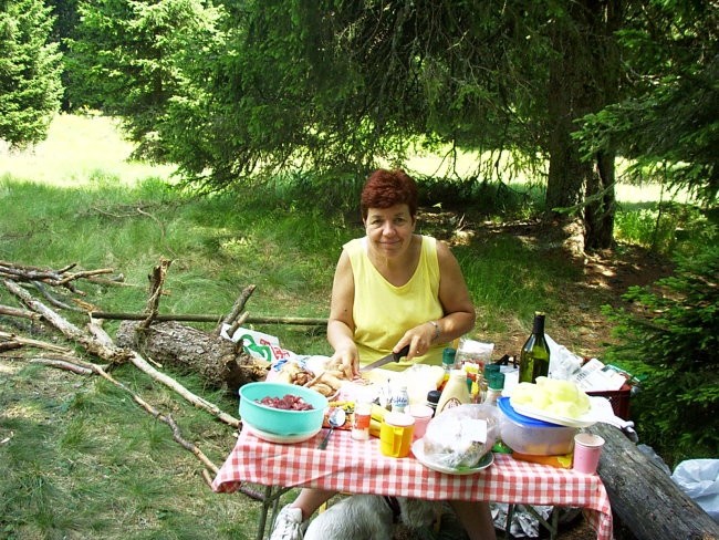 Piknik na Pohorju julij 2003 - foto povečava