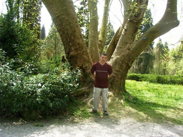 Izlet v Arboretum, Volčji potok - foto