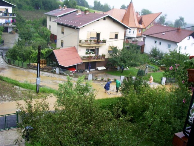 Neurje z točo v Framu - foto povečava