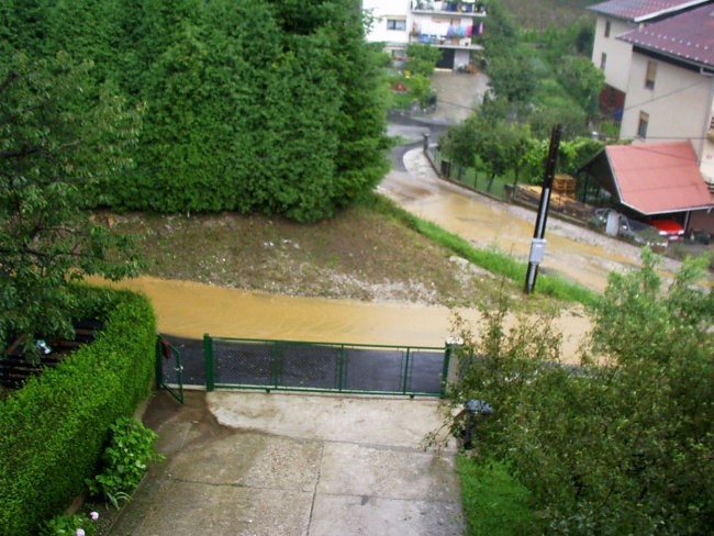 Neurje z točo v Framu - foto povečava