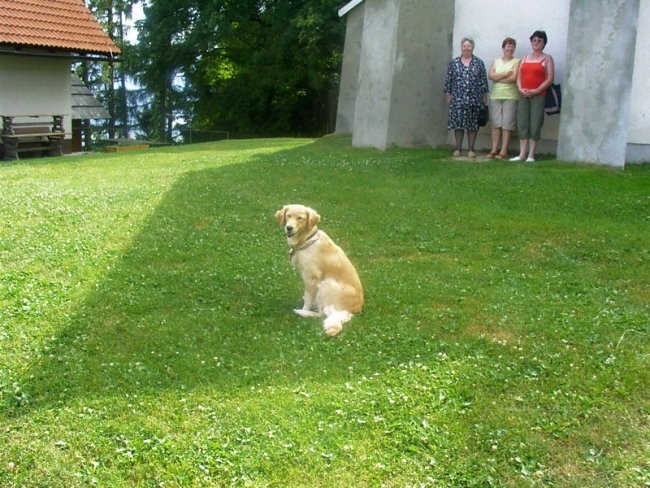 Lovrenc na Pohorju  - foto povečava