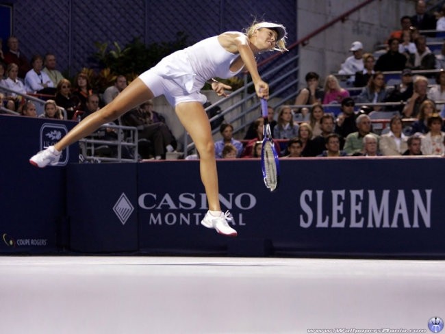 Maria Sharapova  - foto povečava