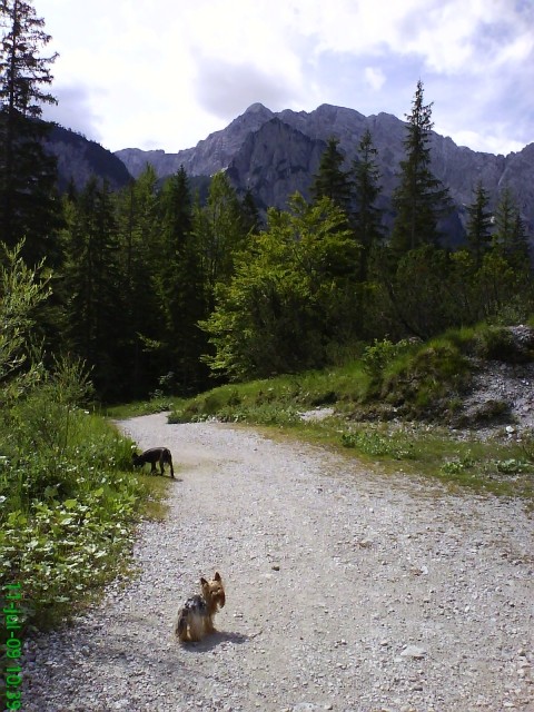 Start of hiking from Planica to Tamar