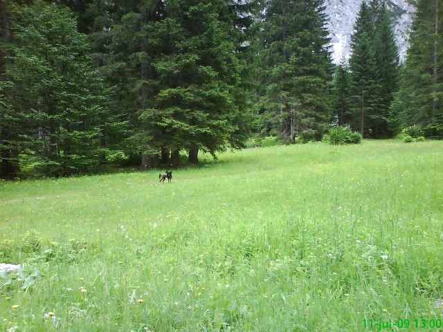 Kranjska gora 2009 - foto