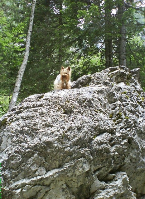Tara on the top of the world :)