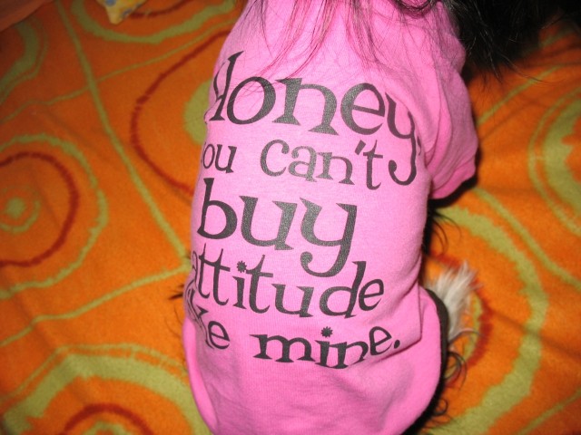 Honey, you can't buy attitude like mine :)