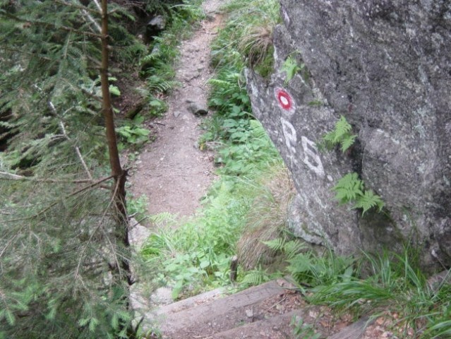 In že smo nad prvim slapom. Te stopnice nas namreč pripeljejo neposredno nad Mali Šumik.