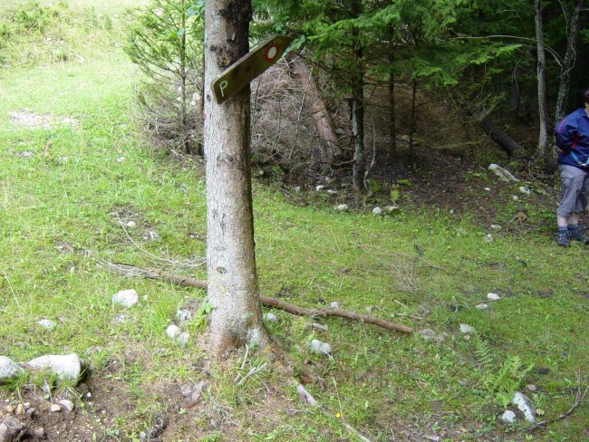 Nekaj pred koncem pašnika markirana pot nenadoma zavije nazaj, kar lahko hitro spregledamo