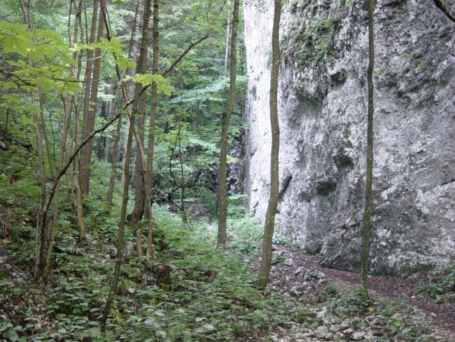 Soteska se hitro zoži in ko se nam že zazdi, da smo se znašli v slepi ulici, ugotovimo, da