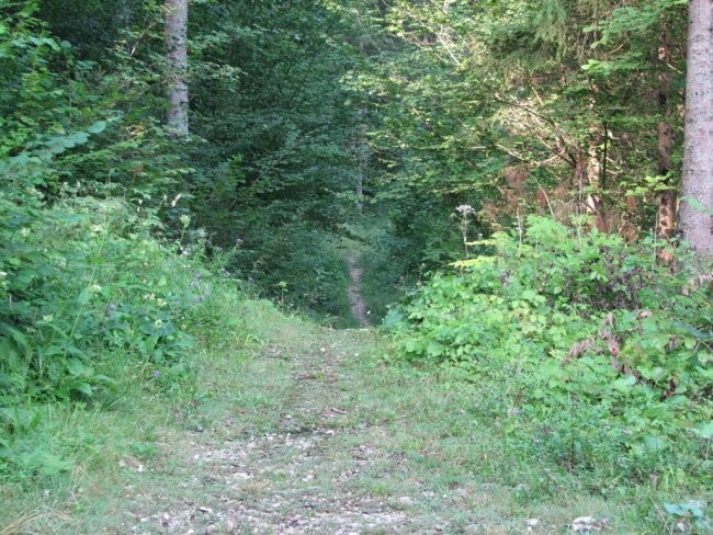 Pešpot na koncu gozdne ceste