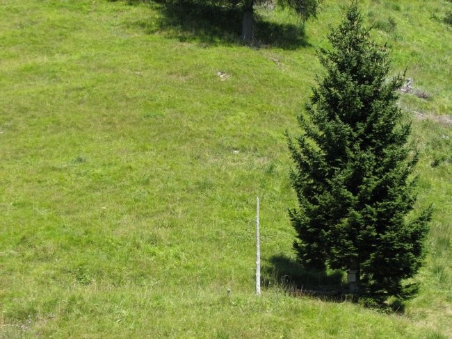 Planina Alničje