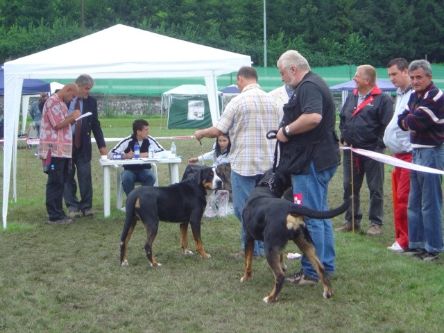 CAC Trbovlje 2005 - foto povečava