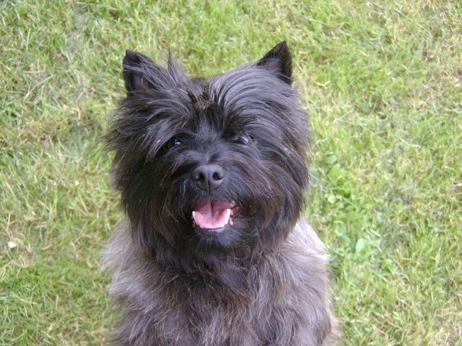 Kana - talušne fotke - foto povečava