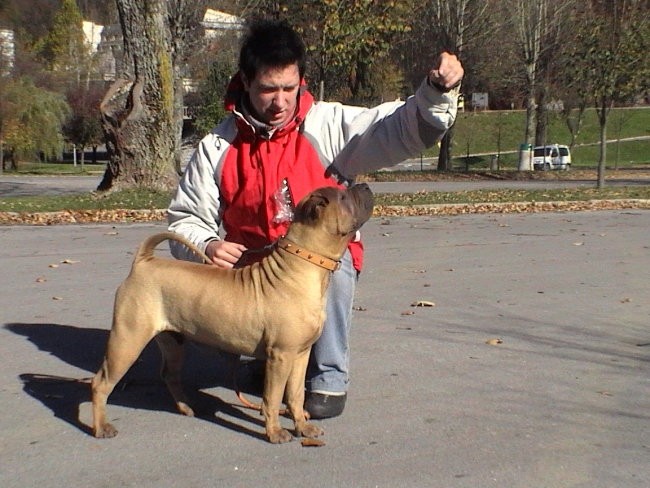 Tai 6 mesecev - foto povečava