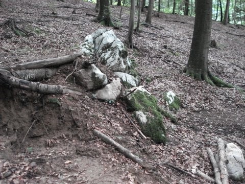 Vrhtrebnje proga-po pešpoti - foto