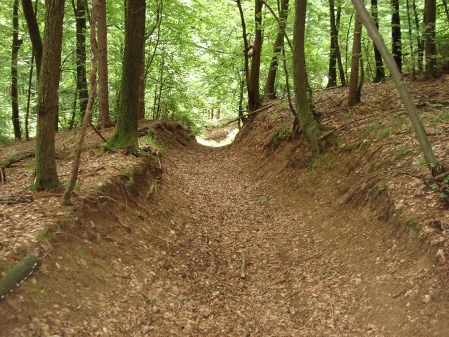 Vrhtrbnje DH proga - foto povečava