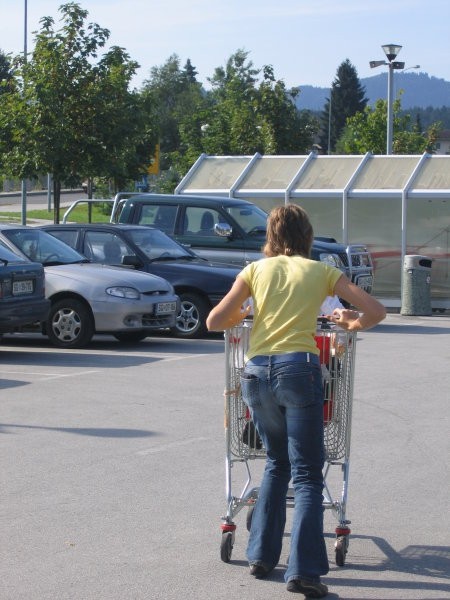 Vozički - lokalno prevozno sredstvo