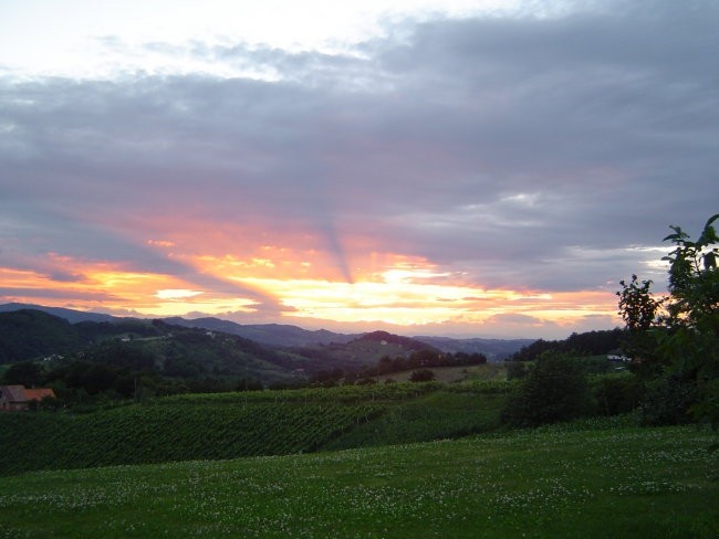 Maribor poletje 2005 - foto povečava